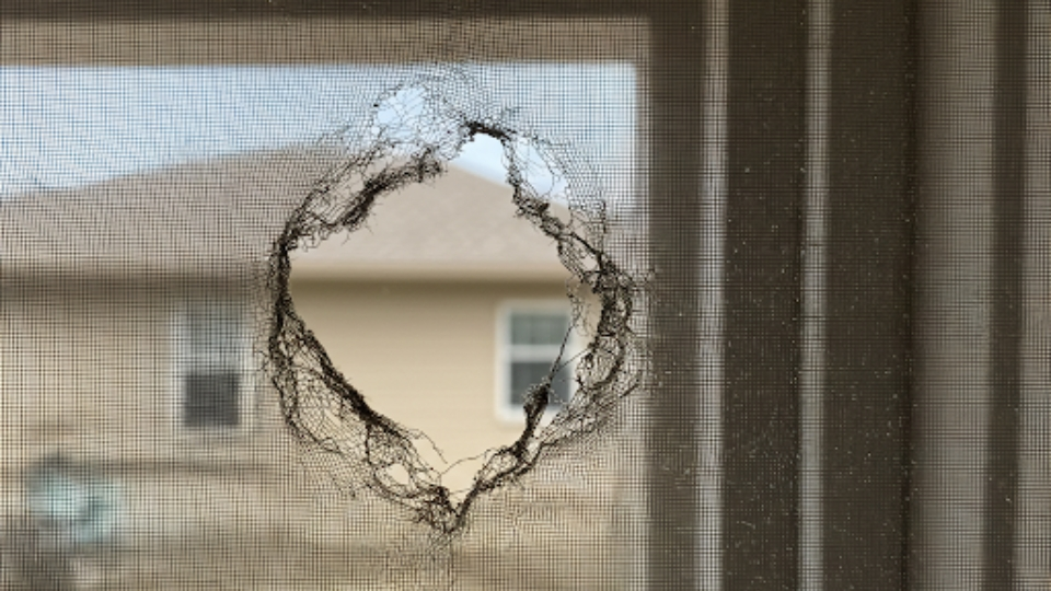 Professional Window Screen Repair in Dallas: Keeping Pests Out Year-Round